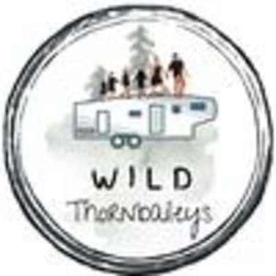 Wild Thornbaileys